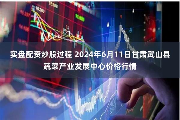 实盘配资炒股过程 2024年6月11日甘肃武山县蔬菜产业发展中心价格行情