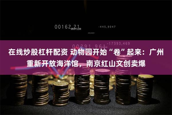 在线炒股杠杆配资 动物园开始“卷”起来：广州重新开放海洋馆，南京红山文创卖爆