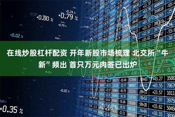 在线炒股杠杆配资 开年新股市场梳理 北交所“牛新”频出 首只万元肉签已出炉