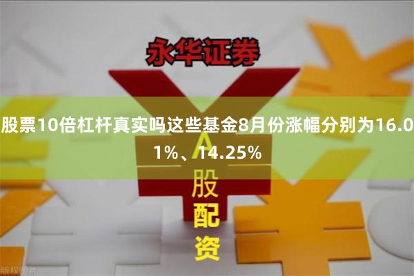 股票10倍杠杆真实吗这些基金8月份涨幅分别为16.01%、14.25%